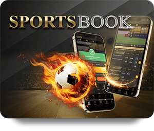 Chiến Lược Cá Độ Cường Tại 1xBet Dành Cho Người Mới Bắt Đầu